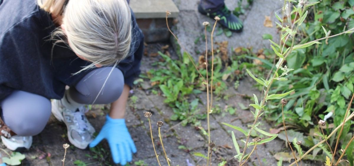 Allotment